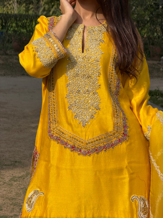 Chanderi Embroidered Sharara Set image 1